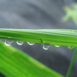 川越駅西口の美容室エルリック