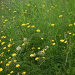 川越駅西口の美容室エルリック